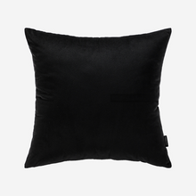 Load image into Gallery viewer, Grey Album Throw Pillow Cover &amp; Insert