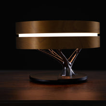 Load image into Gallery viewer, HomeTree Bluetooth Table Lamp in Round