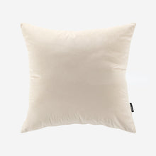 Load image into Gallery viewer, Gerta Velvet Throw Pillow Cover &amp; Insert