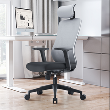 Load image into Gallery viewer, Ergonomic Office Chair