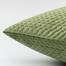 Load image into Gallery viewer, Doris Velvet Quilted Pillow