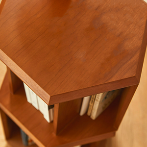 Holthaus Revolving Geometric Bookcase