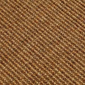 Hector Sisal Area Rug