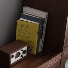 Load image into Gallery viewer, Mckenna SWEDEN Cabinet Storage Display