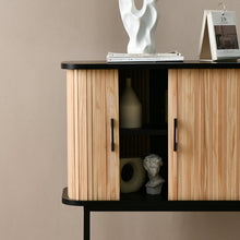 Load image into Gallery viewer, Dolton 2 Door Wood Cabinet