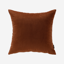 Load image into Gallery viewer, Caramel Album Throw Pillow Cover &amp; Insert